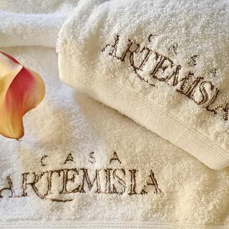 公寓 Casa Artemisia *